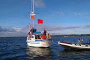 Kalkgrund_2016_ORC__YS 29